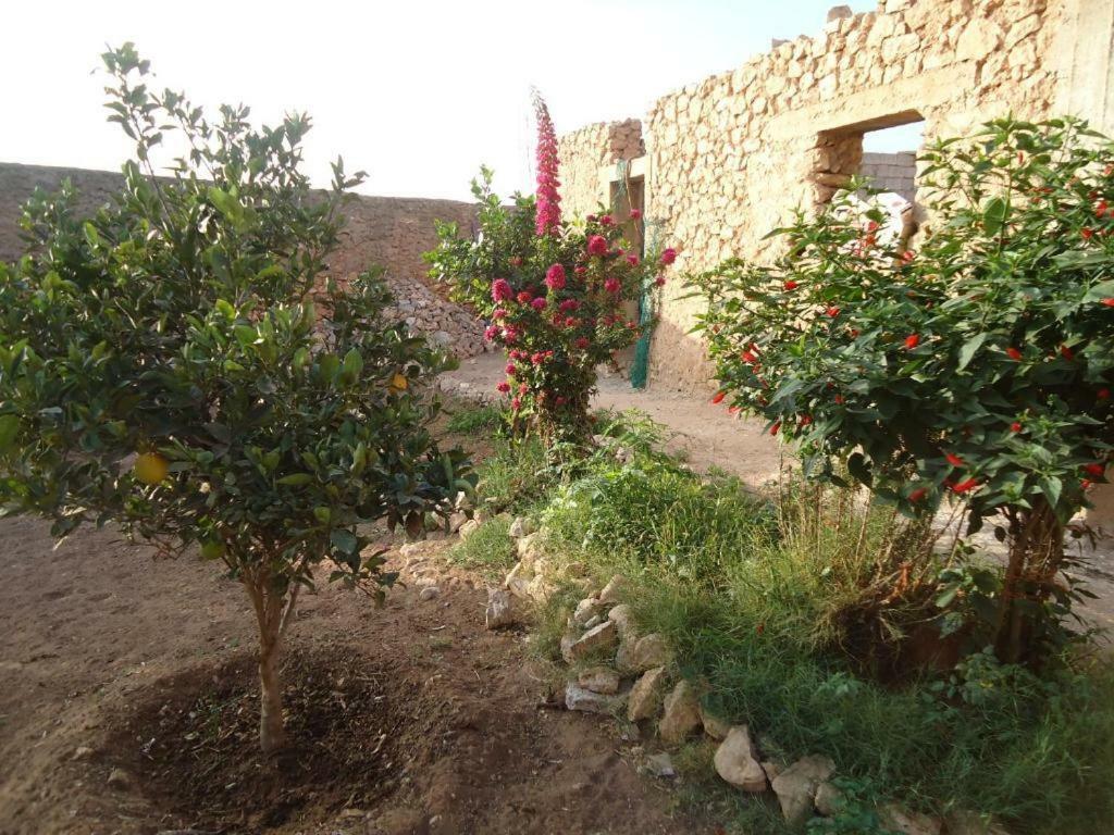 Takad Dream Rural Apartment Takate Ngoại thất bức ảnh